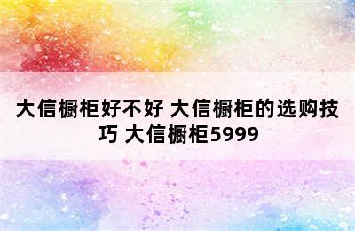 大信橱柜好不好 大信橱柜的选购技巧 大信橱柜5999